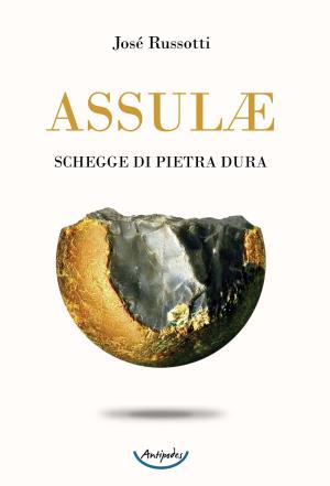 Assul. Schegge di pietra dura